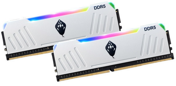 anacomda d5 ddr5 rgb 32gb 7200 review a