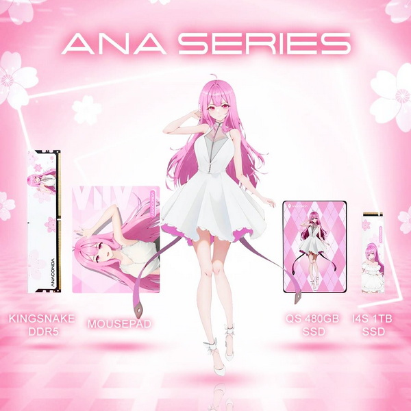 anacomda i4s 1tb ana series review b