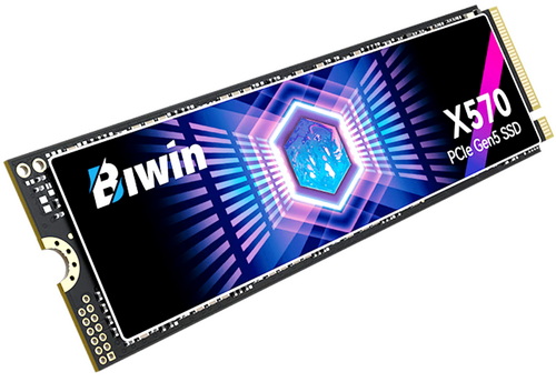 biwin black opal x570 review b