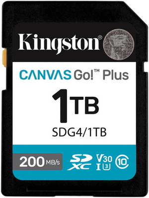 kingston canvas go plus sdg4 1tn review a